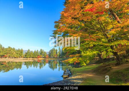 Motsuji temple Oizumigaike pond with autumn leaves Stock Photo