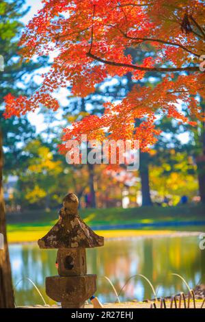 Autumn leaves of Motsuji temple Stock Photo