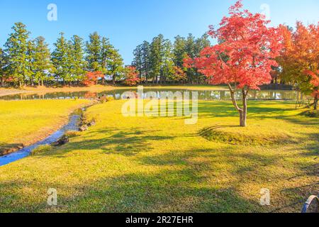 Motsuji temple Oizumigaike pond with autumn leaves Stock Photo