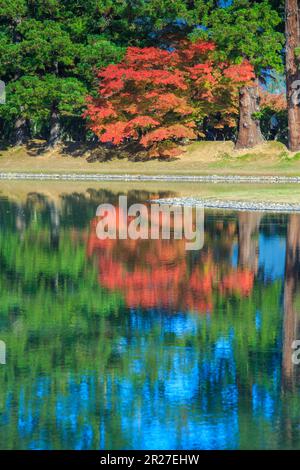 Motsuji temple Oizumigaike pond with autumn leaves Stock Photo