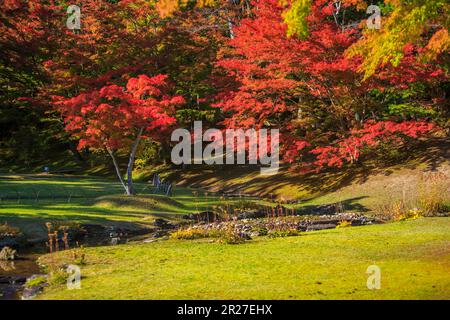 Autumn leaves of Motsuji temple Stock Photo