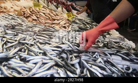 Raw fishes on the fish counter at traditional Kadikoy fish market in Istanbul, Turkey. Stock Photo