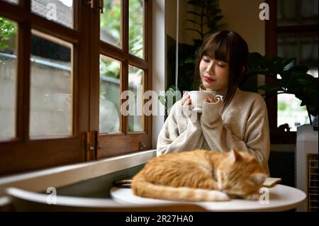 A beautiful and relaxed young Asian woman in a cozy sweater sipping tea at a table by the window in her cozy living room with her orange cat. Stock Photo
