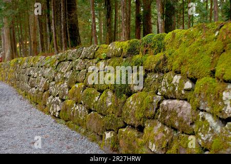 Moss of Nikko Toshogu Shrine Kamishinmichi Stock Photo