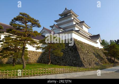 Tsuruga castle Stock Photo