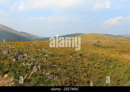 Akiyoshi plateau in autumn Stock Photo