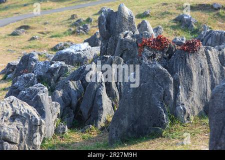 Akiyoshi plateau in autumn Stock Photo