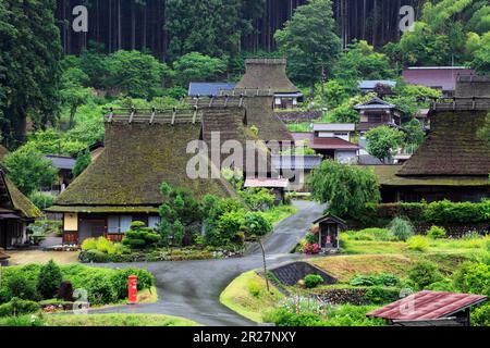 Village of thatched roofed farmhouses in Miyama in fresh green Stock Photo