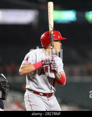 Los Angeles Angels' Gio Urshela throws out Kansas City Royals' Matt Duffy  during the second inning of a spring training baseball game, Friday, March  17, 2023, in Tempe, Ariz. (AP Photo/Matt York