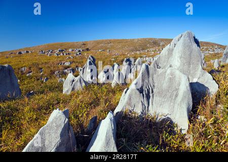 Akiyoshi plateau in autumn Stock Photo