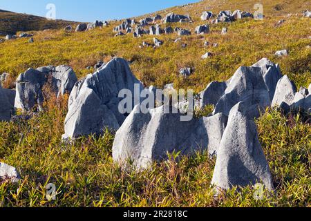 Akiyoshi plateau in autumn Stock Photo