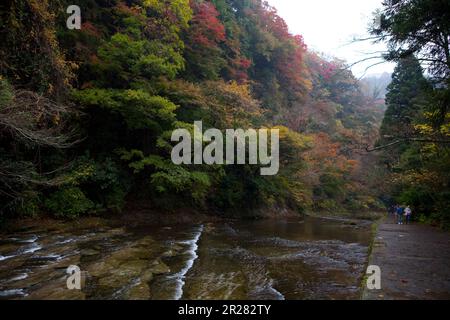 Yoro ravine turning red Stock Photo