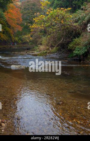 Yoro ravine turning red Stock Photo