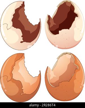 Collection of Cracked Eggs in Different Shapes illustration Stock Vector