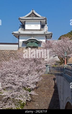 The Kanazawa castle park and a cherry tree Stock Photo