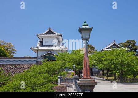 Fresh green and Kanazawa Castle Park Stock Photo