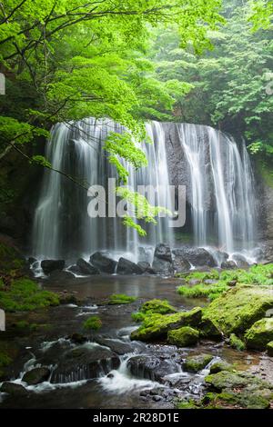 Tatsuzawa fudotaki waterfall in spring Stock Photo