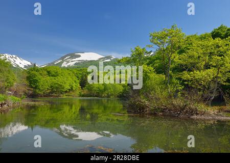 Fresh green in Goshiki-numa and Gassan with snow Stock Photo