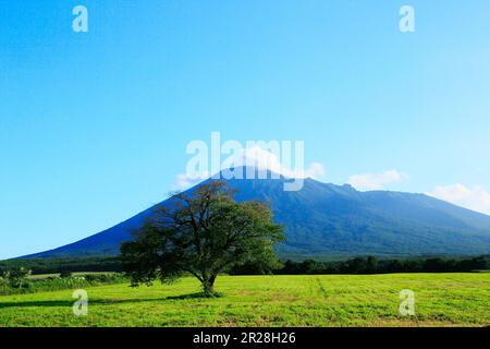 View of Mount Iwate and a single cherry tree standing tall at Joubou in Iwate prefecture Stock Photo