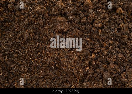 Compost Stock Photos, Royalty Free Compost Images | Depositphotos