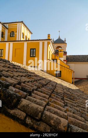 A view from a balcony of an old building in Seville, Spain. Stock Photo