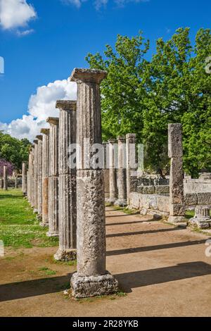 Columns at Palaestra wrestling school, Hellenistic period, sanctuary of Ancient Olympia, Peloponnese peninsula, West Greece region, Greece Stock Photo