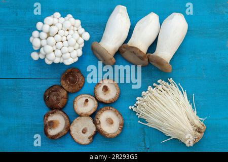 Four Japanese mushrooms. Shimeji Bunapi fungi. White beech mushrooms. Hypsizygus tessulatus; Eringi. King oyster mushroom. Pleurotus eryngii; Shiitake Stock Photo