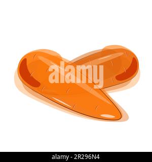 Vector illustration of two orange carrots without tails in watercolor style. Isolated Stock Vector