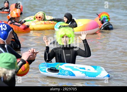 Cologne, Germany. 18th May, 2023. Members of the German Underwater Club (DUC) entered the Rhine for their traditional event. Dressed up or in costume, the approximately 100 participants swam through the Rhine from the Südbrücke to the Zoobrücke in the 15 degree cold water Credit: Roberto Pfeil/dpa/Alamy Live News Stock Photo