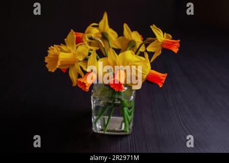 Bright yellow daffodils arranged in a transparent vase on a black background. Flowers create contrast and can be used for interior design or to create Stock Photo