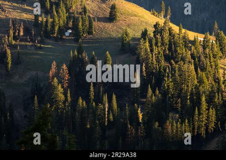 Evening Light Casts Shadows and HIghlights In Lassen Volcanic National Park Stock Photo