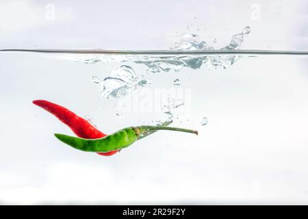 Red chilli, water splashes, solated on a white background Stock Photo