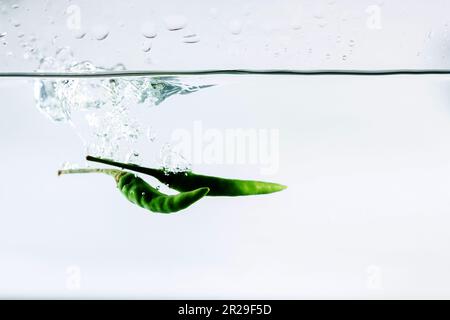 Red chilli, water splashes, solated on a white background Stock Photo