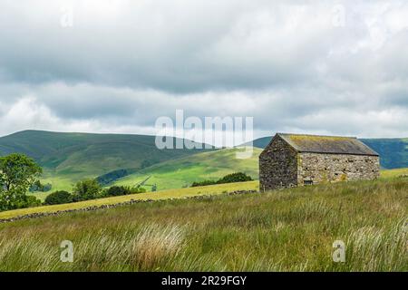 Stone Barn in Cumbria near Sedbergh with part of the Howgill Fells behind on a July day mixed with sunshine and shadows. beautiful and distinctive. Stock Photo