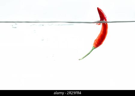 Red chilli, water splashes, solated on a white background Stock Photo