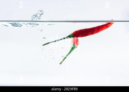 Red chilli, water splashes, solated on a white background Stock Photo