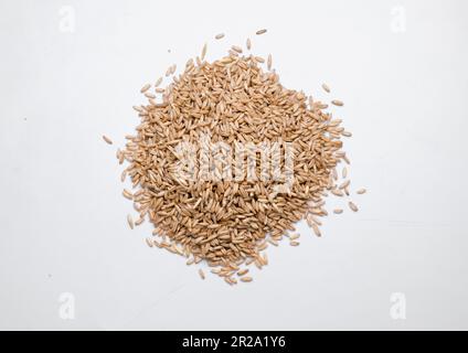 oat seeds heap isolated on white. top view with copyspace Stock Photo