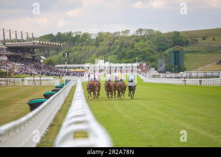 Horses and jockeys approaching the finishing line and going past the grandstands at Goodwood in West Sussex Stock Photo