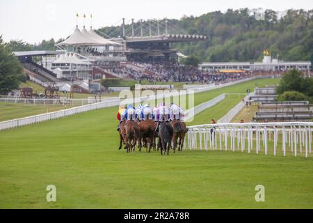 Horses and jockeys approaching the finishing line and going past the grandstands at Goodwood in West Sussex Stock Photo