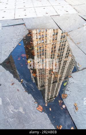 Close up view of a small puddle of water with some scattered leaves on the pavement in New York City, NY, USA with reflection of traditional architect Stock Photo