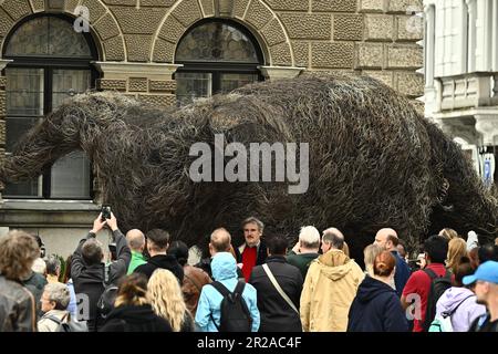 Liberec, Czech Republic. 18th May, 2023. Sculptor Frantisek Skala (centre) unveiled his Vulpes Gott sculpture on the corner of the Liberec Town Hall, on May 18, 2023. The statue is over seven metres long and weighs about four tonnes. Credit: Radek Petrasek/CTK Photo/Alamy Live News Stock Photo