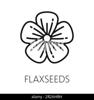 Hand drawn Linen seed and Flax flower. Vector clipart illustration ...