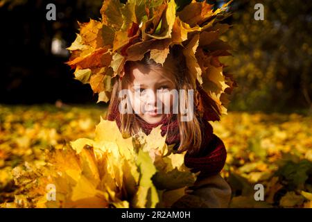 Beautiful little girl in bright yellow orange autumn warm knitted hat and scarf snood with bouquet of maple leaves,foliage walking in forest. Fun play Stock Photo