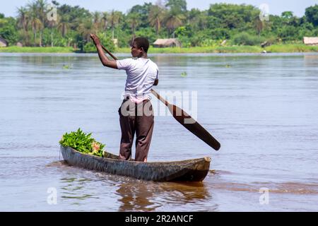 River Rider, DRC Congo Stock Photo