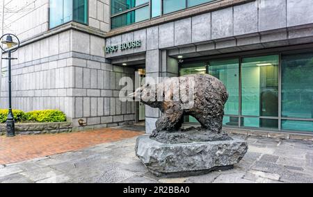 The sculpture  by Don Cronin, of a bear outside the Irish Financial Services Centre  (IFSC) in Dublin’s Docklands. Stock Photo