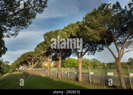 Imola, Italy. May 18th 2023. Formula 1 Qatar Airways Emilia Romagna Grand Prix at Autodromo Enzo e Dino Ferrari, Italy cancelled due to the flooding in the Emilia-Romagna region. Pictured: Empty race track     © Piotr Zajac/Alamy Live News Stock Photo