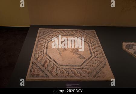 Representation of Dionysus from floor mosaic of a secular building (3rd century) . Diachronic Museum of Larissa , Greece Stock Photo