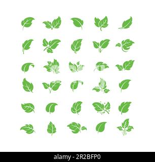 Set of green leaf ecology icon, leaf isolated on transparent background. Environment and Nature Symbol, Vector illustration. Stock Vector