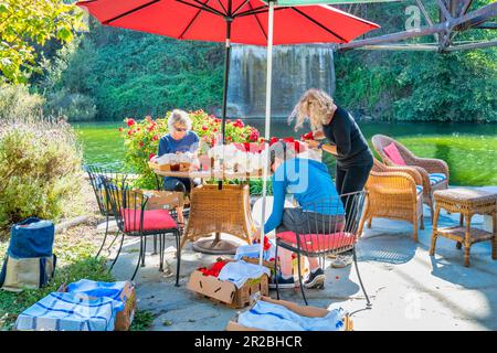 Begonia Festival Capitola California USA Stock Photo Alamy