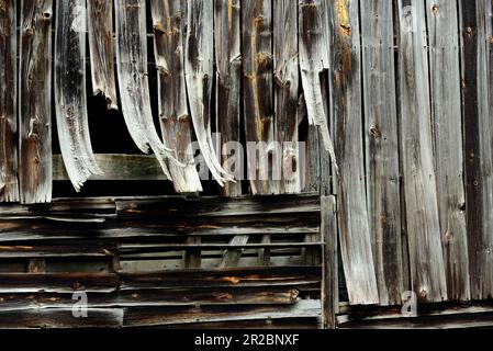 Warped boards on an old barn Stock Photo